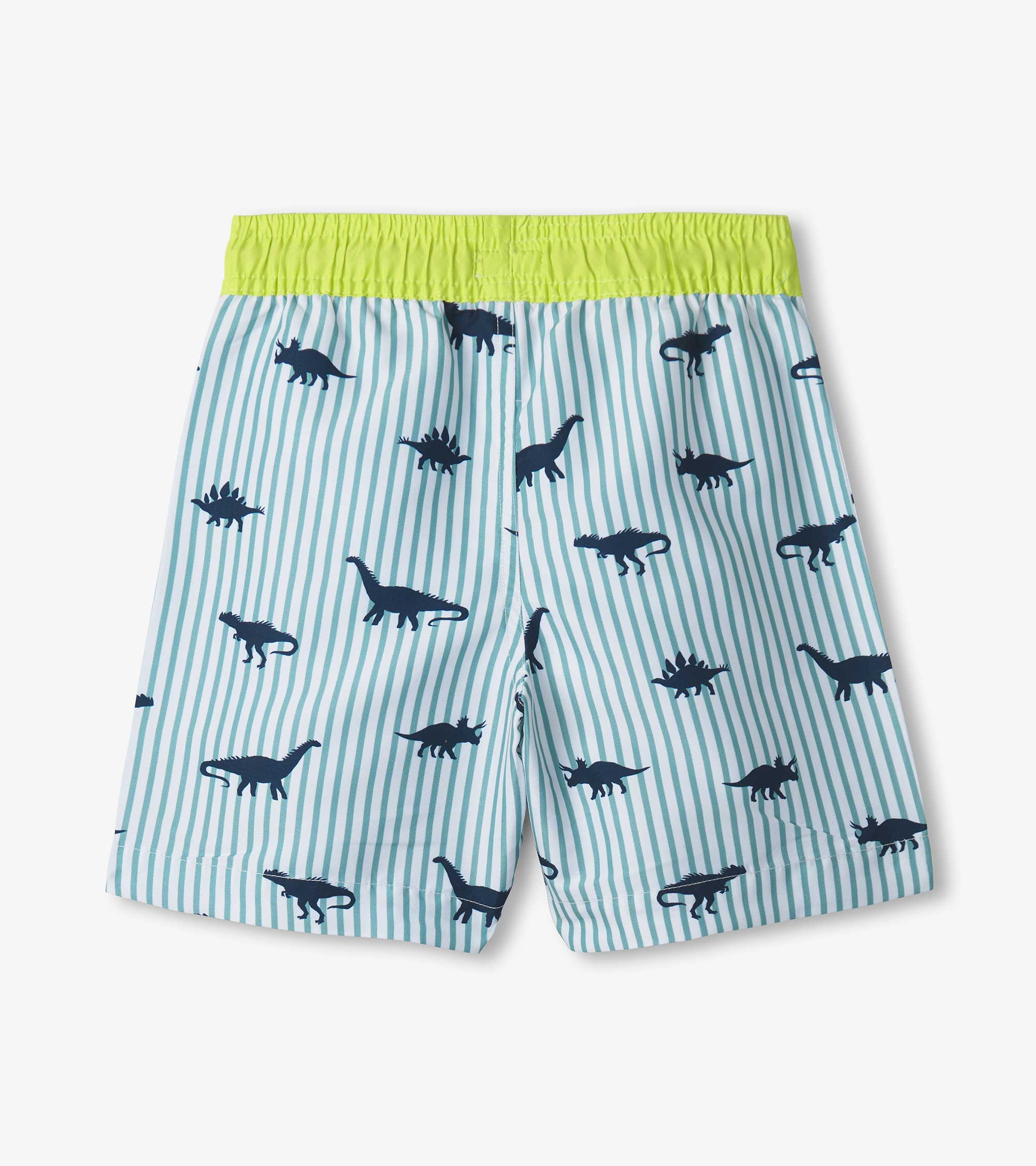 Hatley Dinosaur Swim Shorts & Rashguard