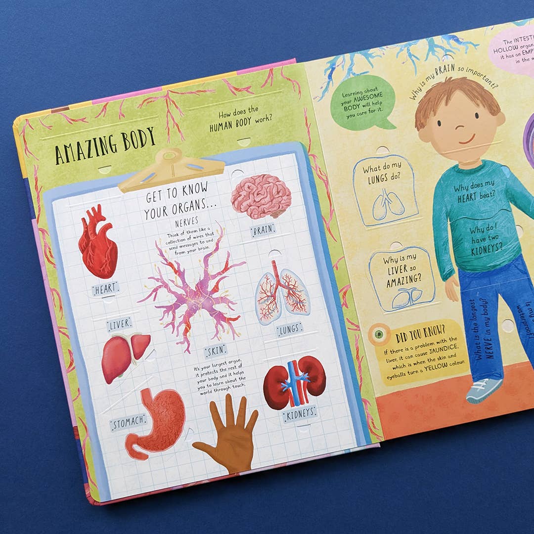 Large Question and Answer Flap Book - Human Body