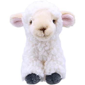 wilberry mini lamb